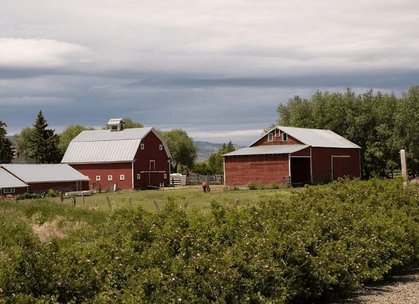 Ellensburg